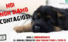 Coronavirus: CURA DEGLI ANIMALI DA COMPAGNIA