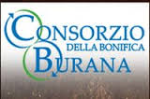 Image Elezioni degli organi del Consorzio della Bonifica Burana