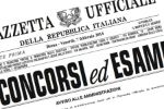 Image Avviso di selezione pubblica