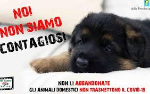 Image Coronavirus: CURA DEGLI ANIMALI DA COMPAGNIA