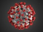 Image Coronavirus: NOVITA' SULL'USO DELLE MASCHERINE