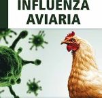 Image Focolario di influenza aviaria nel Comune di Montese