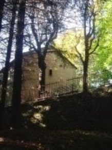 Image Chiesa di S. Colombano