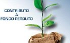 CONTRIBUTI A FONDO PERDUTO A SOSTEGNO DEL COMMERCIO E DELL’ ARTIGIANATO - ANNI 2021 E 2022