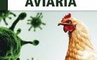 Focolario di influenza aviaria nel Comune di Montese