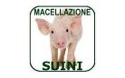 Macellazione invernale dei suini ad uso domestico